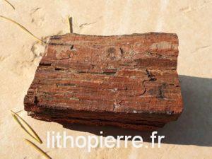 Bois fossilisé