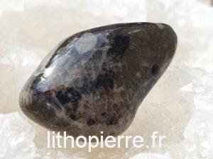 Agate fossile ou turitelle